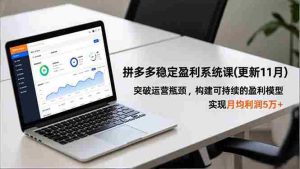 （16641期）拼多多稳定盈利系统课(更新11月)，突破运营瓶颈，构建可持续的盈利模型，实现月均利润5万+-网创资源