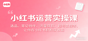 小红书运营实操课：选品、笔记创作、流量获取、起号变现等，让你在小红书轻松获收益-网创资源
