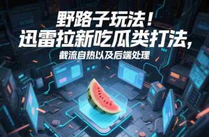 野路子玩法！迅雷拉新吃瓜类打法，截流自热以及后端处理-网创资源