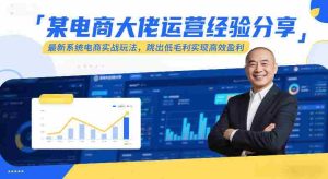 某电商大佬运营经验分享，最新系统电商实战玩法，跳出低毛利实现高效盈利-网创资源