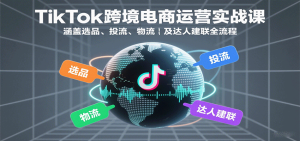 TikTok跨境电商运营实战课：涵盖选品、投流、物流及达人建联全流程-网创资源