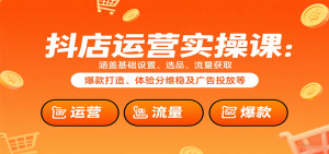抖店运营实操课：涵盖基础设置、选品、流量获取、爆款打造、体验分维稳及广告投放等-网创资源