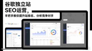 谷歌独立站SEO运营，手把手教你提升网站排名、分析竞争对手（更新2026）-网创资源