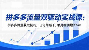 （16563期）拼多多流量双驱动实战课：拼多多流量获取技巧，日订单破千,单月利润增长5w-网创资源