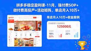 （16557期）拼多多稳定盈利课-11月，强付费SOP+微付费高投产+活动矩阵，单店月入10w+-网创资源