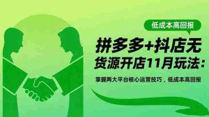 （16546期）拼多多+抖店无货源开店11月玩法：掌握两大平台核心运营技巧，低成本高回报-网创资源