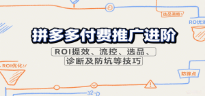 拼多多付费推广进阶，ROI提效、流控、选品、诊断及防坑等技巧-网创资源