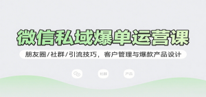 微信私域爆单运营课：朋友圈/社群/引流技巧，客户管理与爆款产品设计-网创资源