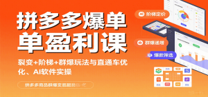 拼多多爆单盈利课：裂变+阶梯+群爆玩法与直通车优化、AI 软件实操-网创资源