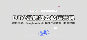 DTC品牌独立站运营课：建站优化、Google Ads + 社媒推广与数据分析全攻略-网创资源