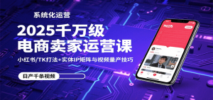 2025千万级电商卖家运营课：小红书/TK打法+实体IP矩阵与视频量产技巧-网创资源
