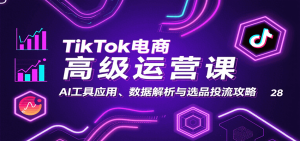 TikTok电商高级运营课：AI工具应用、数据解析与选品投流攻略-网创资源