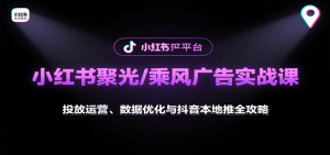 小红书聚光/乘风广告实战课：投放运营、数据优化与抖音本地推全攻略-网创资源