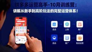 （16448期）拼多多运营高手-10月训练营：讲解从新手到高阶玩法的完整运营体系！-网创资源