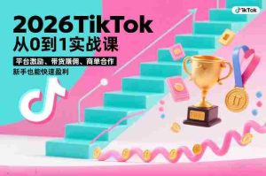2026TikTok从0到1实战课，平台激励、带货賺佣、商单合作，新手也能快速盈利（3天直播课）-网创资源