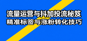 流量运营与抖加投流秘笈，含算法解析、爆款打造、精准标签与涨粉转化技巧-网创资源