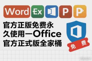 官方正版免费永久使用-Office官方正式版全家桶-网创资源