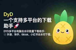 DYD多平台电脑去水印批量下载助手：抖音、快手、tiktok、小红书去水印下载-网创资源