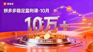 （16413期）拼多多稳定盈利课-10月，强付费SOP+微付费高投产+活动矩阵，单店月入10万+-网创资源