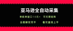 亚马逊全自动采集，单机单窗口一天10+，可无限矩阵去做-网创资源