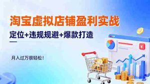 （16387期）淘宝虚拟店铺盈利实战：定位+违规规避+爆款打造，月入过万很轻松！-网创资源