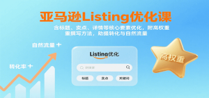 亚马逊Listing优化课：标题、卖点、详情等，高权重撰写方法，提转化与自然流量-网创资源