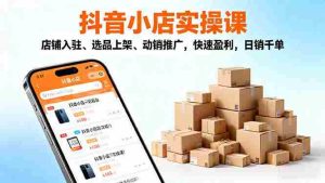 （16386期）2025抖音小店实操课，店铺入驻、选品上架、动销推广，快速盈利，日销千单-网创资源