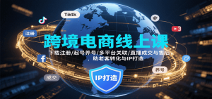 跨境电商线上课，下载注册/起号养号/多平台关联/直播成交与售后，IP打造与老客转化-网创资源