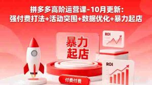 （16366期）拼多多高阶运营课-10月更新：强付费打法+活动突围+数据优化+暴力起店-网创资源