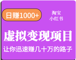 淘宝OR小红书虚拟变现，日赚1000+，多账号操作年收入几十W不等-网创资源