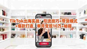 （16358期）「TikTok出海实战」引流技巧+带货模式+爆款打造，单月变现10万+秘籍-网创资源