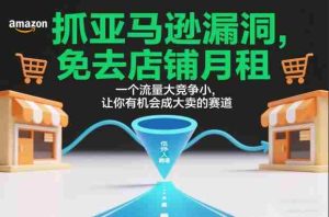 抓亚马逊漏洞，免去店铺月租，一个流量大竞争小，让你有机会成大卖的赛道-网创资源