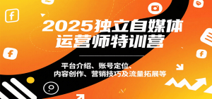 2025独立自媒体运营师特训营：平台介绍、账号定位、内容创作、营销技巧及流量拓展等-网创资源