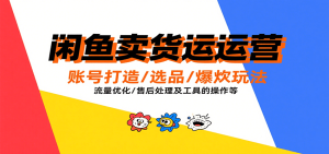 闲鱼卖货运营，账号打造/选品/爆款玩法/流量优化/售后处理及工具实操等-网创资源