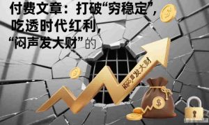 付费文章：打破“穷稳定”，吃透时代红利，“闷声发大财”的终极真谛-网创资源