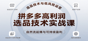 拼多多高利润选品技术实战课，手把手教学自然流高投产起爆，实现低风险可持续盈利-网创资源