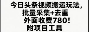 今日头条视频搬运玩法，软件一键去重，轻松日入500+附项目工具-网创资源