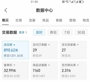 2025版多多冷门虚拟U盘项目玩法，单店铺月变现1w+，稳赚不赔！-网创资源