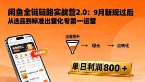 （16265期）闲鱼变现课3.0：掌握链接优化、流量提升、商业变现，单日利润800+-网创资源