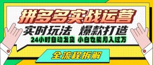 拼多多最新实战运营高投产：长久稳定项目，单店利润一天三位数-网创资源
