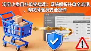 （16239期）淘宝小类目补单实战课：系统解析补单全流程、降权风险及安全操作-网创资源