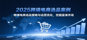 2025跨境电商选品案例，跨境电商选品策略与运营优化，挖掘蓝海市场-网创资源