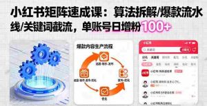 （16231期）小红书矩阵起号速成课：算法拆解/爆款流水线/关键词截流 单账号日增粉100+-网创资源