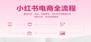 小红书电商全流程，基础开店、选品、流量获取、笔记创作到数据分析、供应商管理等-网创资源