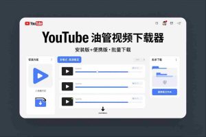 YouTube油管视频下载器安装版+便携版，可以批量下载多个视频-网创资源