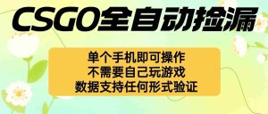 （16207期）自动挂机捡漏，不用自己挂机不用玩游戏，一个手机即可操作。新手小白轻…-网创资源