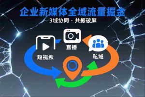 短视频全域商业模式，企业新媒体全域流量掘金，3域协同，共振破屏，短视频-直播-私域-地域-网创资源