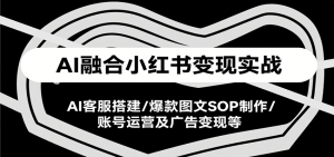 AI融合小红书变现实战课，AI客服搭建/爆款图文SOP制作/账号运营及广告变现等-网创资源