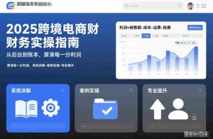 2025跨境电商财务实操指南，从后台到账本，算清每一分利润，系统讲解-案例实操-专业提升-网创资源