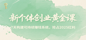 新个体创业黄金课，7天构建可持续赚钱系统，抢占2025红利-网创资源